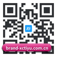Apple 移动终端版 二维码